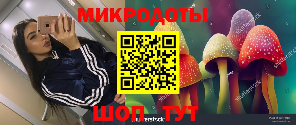 Галлюциногенные грибы ЛСД  Вход с VPN  Галлюциногенные грибы ЛСД  где купить наркотик  Саров 